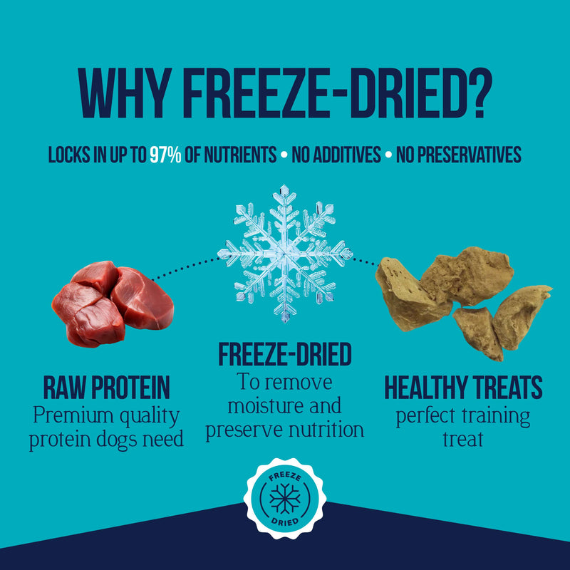 Stewart Chicken Liver Single Ingredient Freeze-Dried Dog Treats 16.8 oz Tub