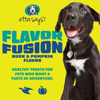 Etta Says! Duck and Pumpkin Dog Chew