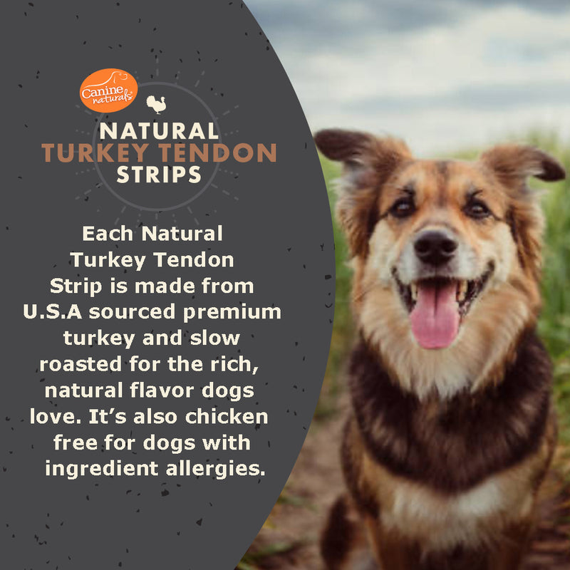 Canine Naturals Natural Turkey Tendon Strips - Slow Roasted Treats for Dogs - 3oz