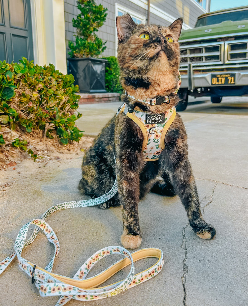Sassy Meow Cat Harness, Sunflower Dreams