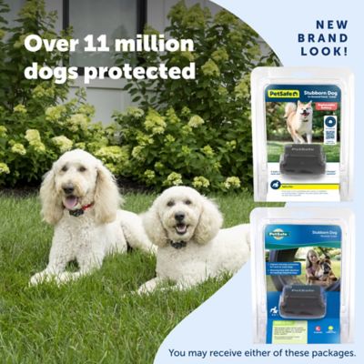 PetSafe Stubborn Dog In-Ground Fence Dog Collar Receiver