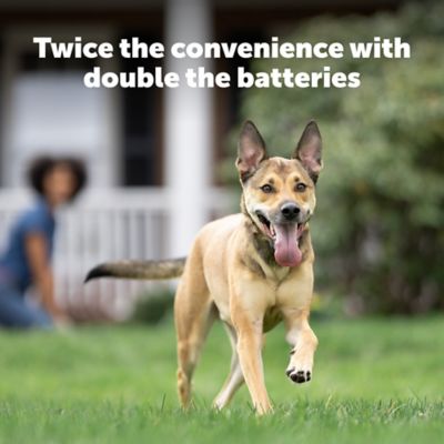 PetSafe 6V Replacement Dog Collar Batteries, 2-Pack