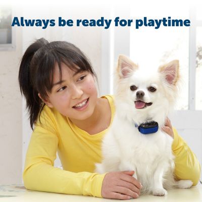 PetSafe Replacement Dog Collar Battery