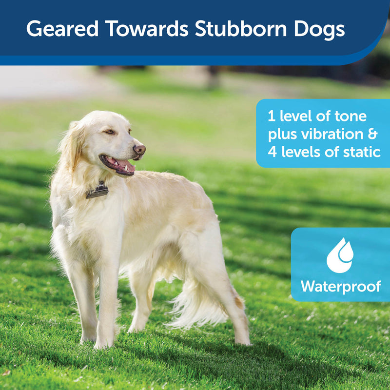PetSafe® Stubborn Dog In-Ground Fence