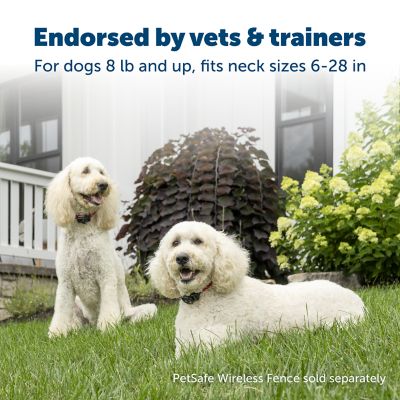 PetSafe Wireless Pet Containment System Dog Collar Receiver