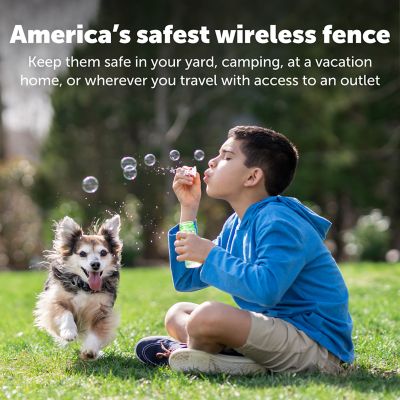 PetSafe Wireless Pet Containment System Dog Collar Receiver