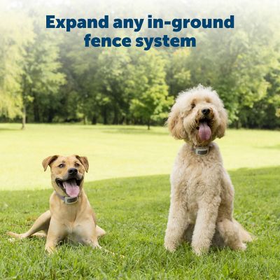 PetSafe 500 ft. Extra In-Ground Fence Boundary Wire and Training Flags