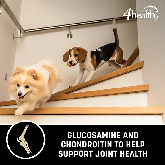 4health with Wholesome Grains Small Bites Formula Adult Dry Dog Food