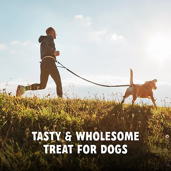 4health Chew Sticks Beef Recipe Dog Treats, 24 oz.