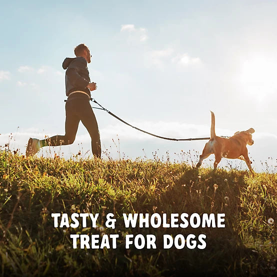 4health Chew Sticks Lamb Recipe Dog Treats, 22 oz.