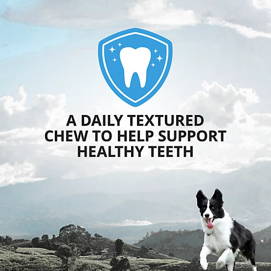 4health Plaque Busters Dental Chews Dog Treats, 32 Count