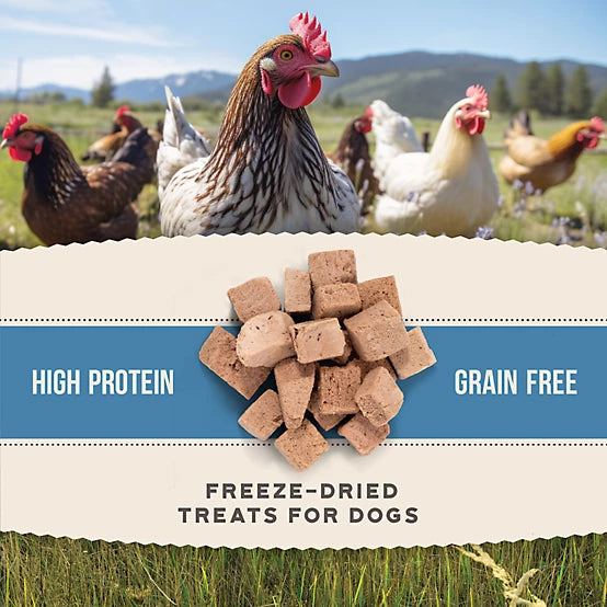 4health Untamed Chicken Bites High-Protein Freeze-Dried Dog Treats, 4.4 oz.