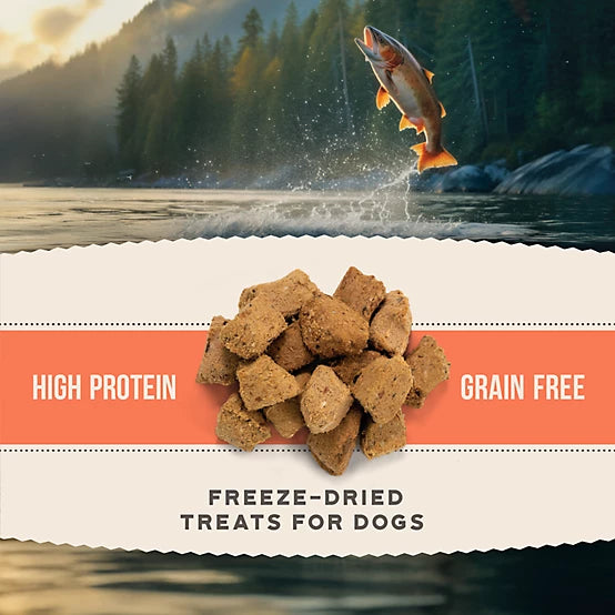4health Untamed Salmon Bites High-Protein Freeze-Dried Dog Treats, 3.1 oz.