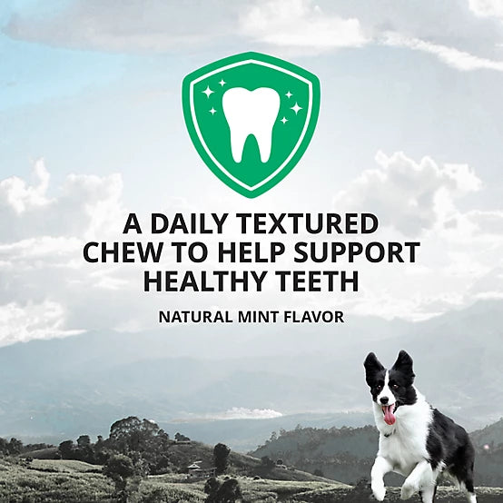 4health Plaque Busters Dental Chews Mint Flavor Dog Treats, 32 Count