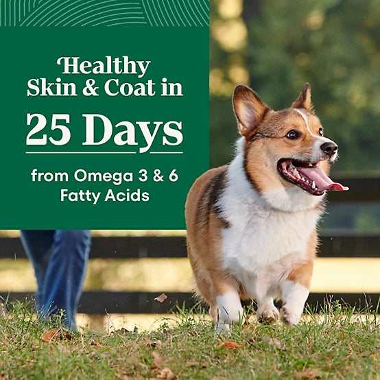 Nutro Natural Choice Small Bites Adult Lamb and Brown Rice Recipe Dry Dog Food, 12lb