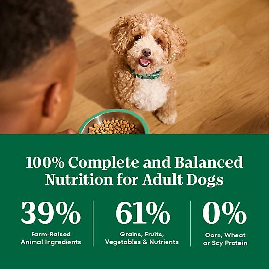 Nutro Natural Choice Small Bites Adult Lamb and Brown Rice Recipe Dry Dog Food, 12lb