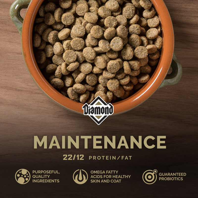 Diamond Maintenance Dry Dog Food Formula