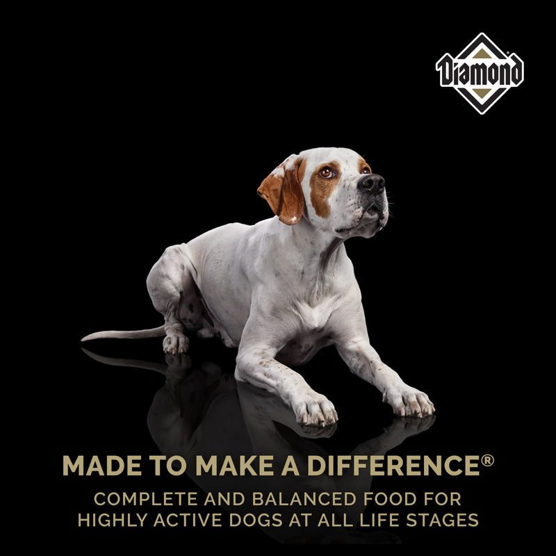 Diamond Performance Dry Dog Food