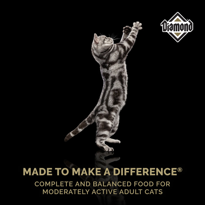 Diamond Maintenance Dry Cat Food