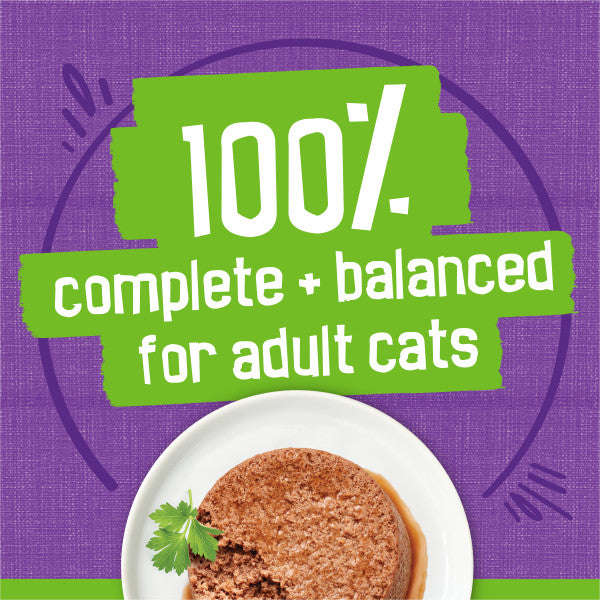 Purina Friskies Wet Cat Food Pate Turkey and Giblets Dinner  - 5.5 oz. Can