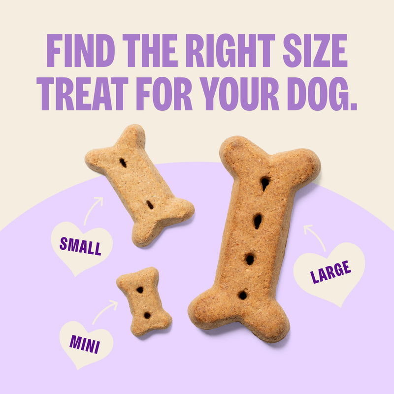 Old Mother Hubbard Crunchy Classic Natural P-Nuttier Small Biscuits Dog Treats