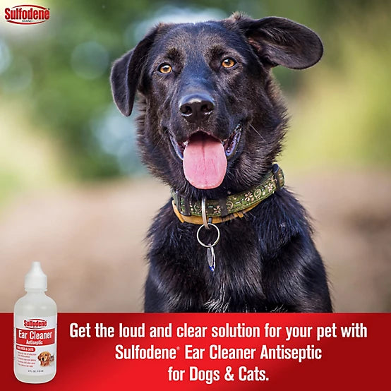 Sulfodene Ear Cleaner Antiseptic for Dogs and Cats, 4 oz.