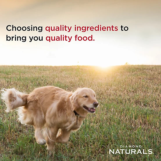 Diamond Naturals Adult Beef Meal and Rice Formula Dry Dog Food, 40 lb. Bag