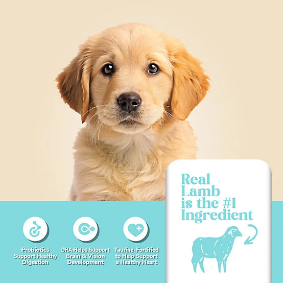 4health with Wholesome Grains Puppy Lamb Formula Dry Dog Food, 18lb