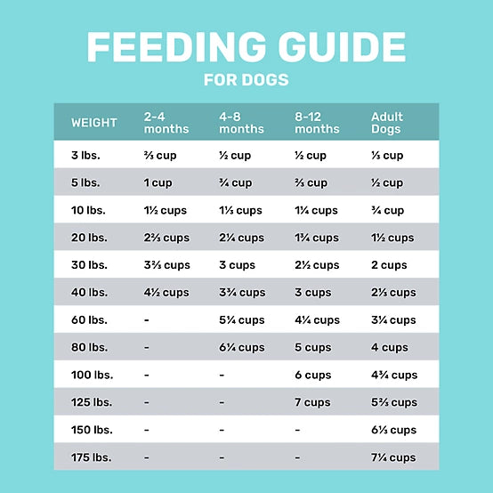 4health with Wholesome Grains Puppy Lamb Formula Dry Dog Food, 18lb
