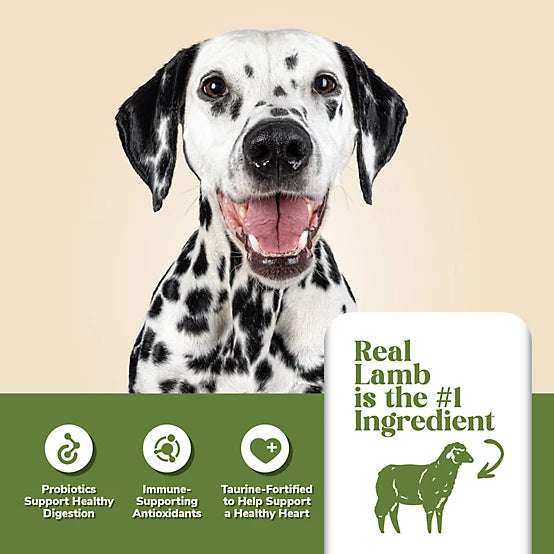 4health with Wholesome Grains Adult Lamb and Rice Formula Dry Dog Food, 18lb
