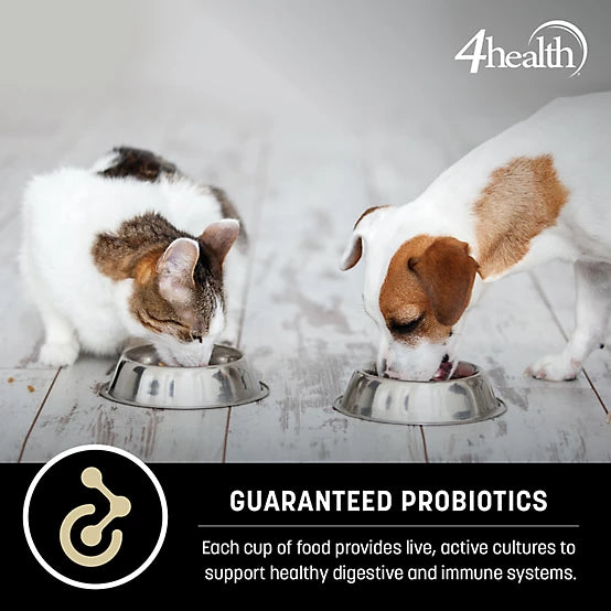 4health with Wholesome Grains Puppy Formula Dry Dog Food