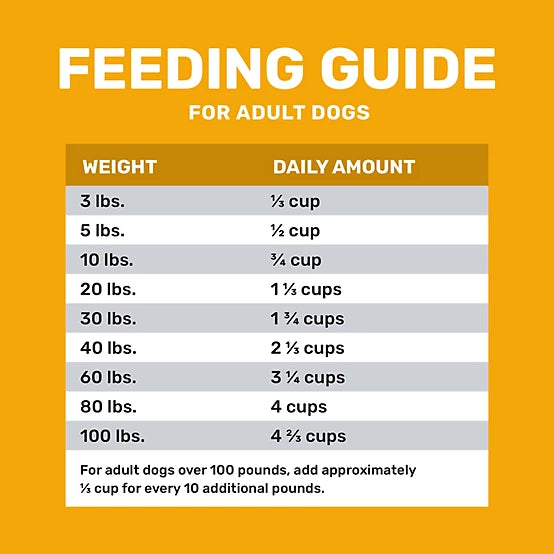 4health with Wholesome Grains Adult Chicken and Rice Formula Dry Dog Food, 18lb