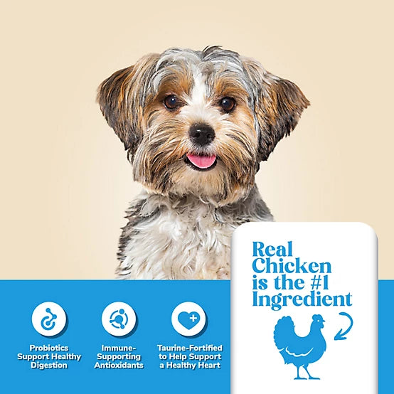 4health with Wholesome Grains Small Breed Adult Chicken Formula Dry Dog Food, 18lb