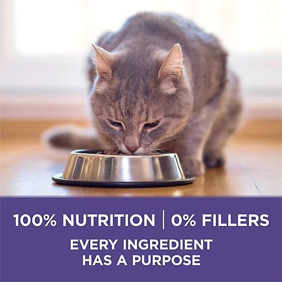 Purina ONE Plus Adult Hairball Control Chicken Recipe Natural Dry Cat Food, 7lb