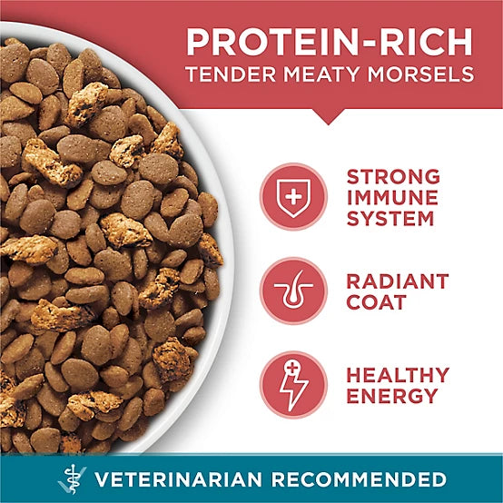 Purina ONE Natural Adult Indoor/Outdoor Tender Selects Blend with Real Salmon Recipe Dry Cat Food, 7lb