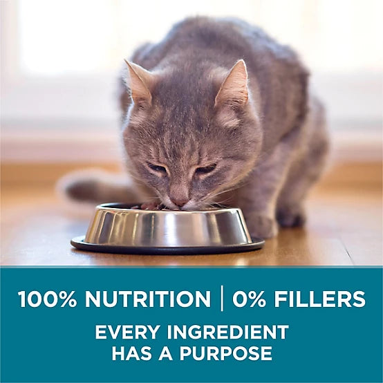 Purina ONE Natural Adult Indoor/Outdoor Tender Selects Blend with Real Salmon Recipe Dry Cat Food, 7lb