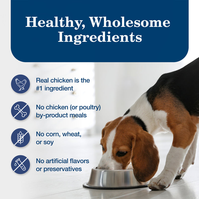Blue Buffalo Homestyle Recipe Adult Wet Dog Food, Made with Natural Ingredients, Chicken Dinner With Garden Vegetables, 12.5-oz. Can