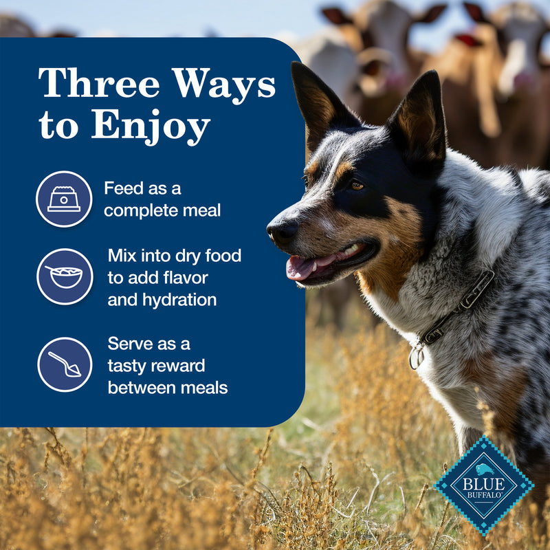 Blue Buffalo Homestyle Recipe Adult Wet Dog Food, Made with Natural Ingredients, Chicken Dinner With Garden Vegetables, 12.5-oz. Can