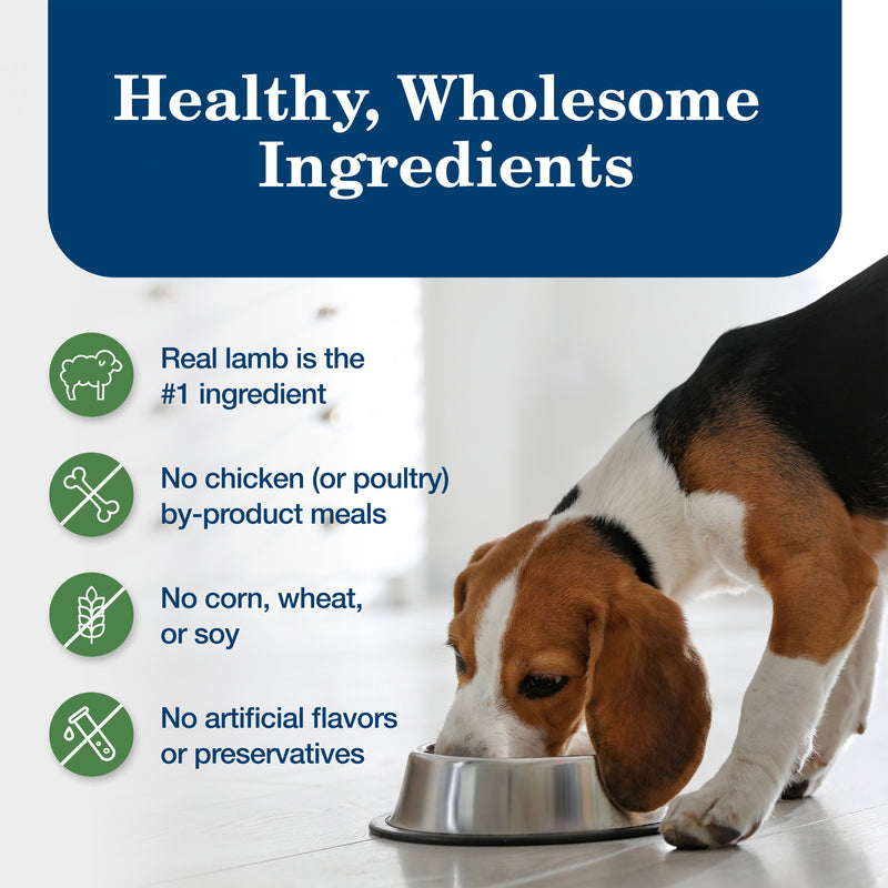 Blue Buffalo Homestyle Recipe Adult Wet Dog Food, Made with Natural Ingredients, Lamb Dinner With Garden Vegetables, 12.5-oz. Can