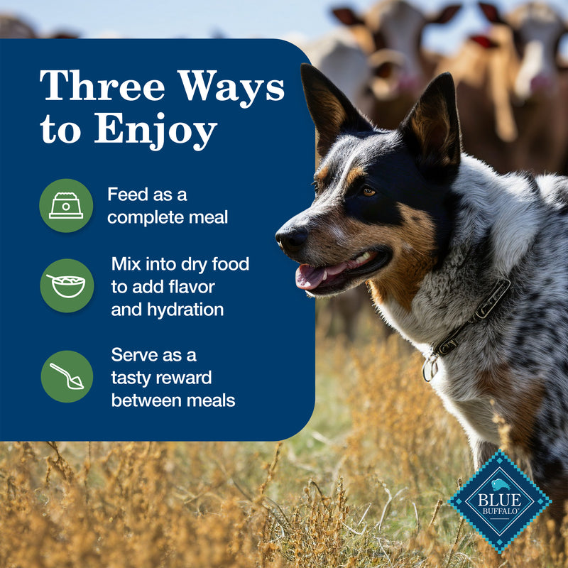 Blue Buffalo Homestyle Recipe Adult Wet Dog Food, Made with Natural Ingredients, Lamb Dinner With Garden Vegetables, 12.5-oz. Can