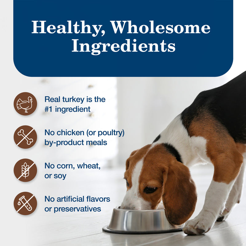 Blue Buffalo Homestyle Recipe Adult Wet Dog Food, Made with Natural Ingredients, Turkey Dinner With Garden Vegetables, 12.5-oz. Can