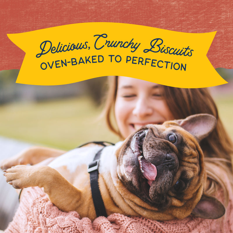 Natural Balance® Rewards Crunchy Biscuits With Real Salmon Dog Treat