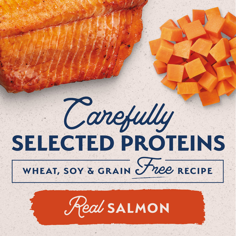 Natural Balance Limited Ingredient Wet Dog Food, Sweet Potato & Salmon Recipe, 13 oz.