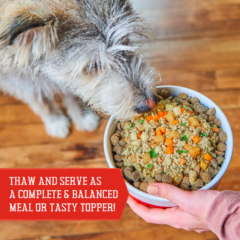 Stella & Chewy's Fresh Made Gently Cooked Dog Food Beefy-Licious - 16 oz.