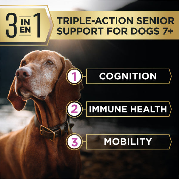 Purina Pro Plan AdvantEDGE Senior Support Plus Shredded Blend Chicken and Rice Formula Dry Dog Food