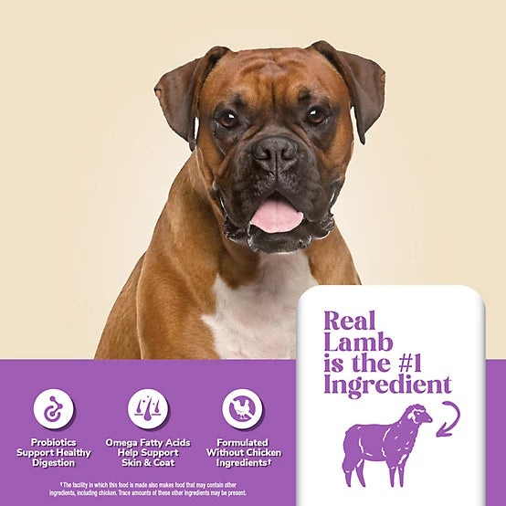 4health with Wholesome Grains Sensitive Skin and Stomach Lamb and Rice Formula Dry Dog Food