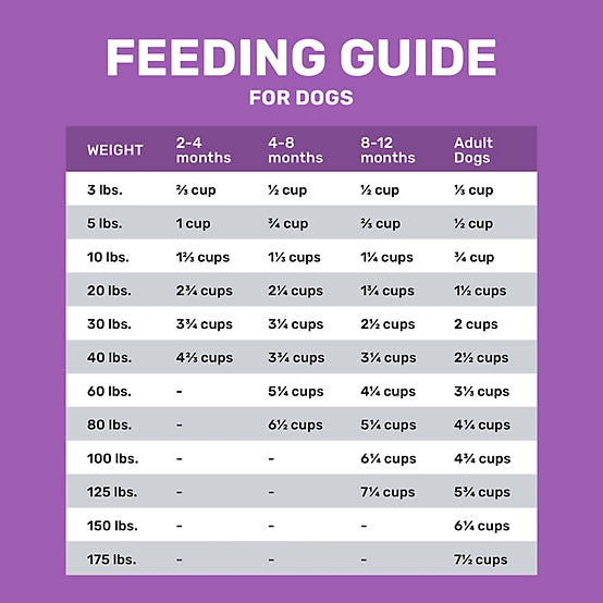 4health with Wholesome Grains Sensitive Skin and Stomach Lamb and Rice Formula Dry Dog Food
