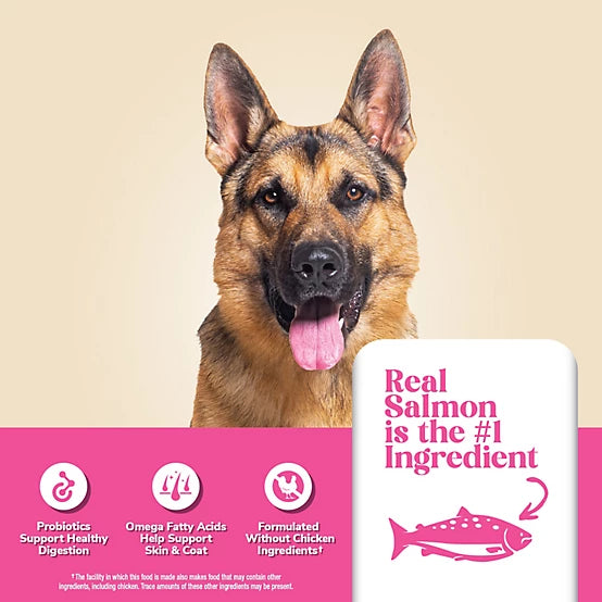 4health with Wholesome Grains All Life Stages Sensitive Skin/Stomach Salmon/Rice Formula Dry Dog Food