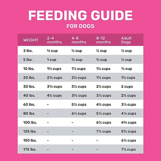 4health with Wholesome Grains All Life Stages Sensitive Skin/Stomach Salmon/Rice Formula Dry Dog Food