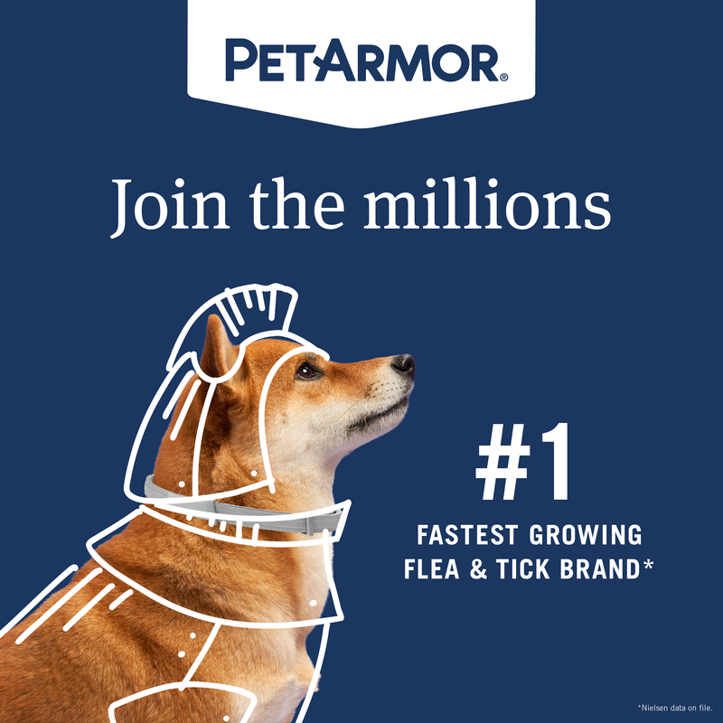 PetArmor Flea and Tick Collar for Small Dogs, 1 Count